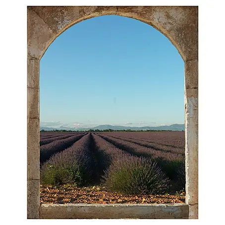 Vinilo forma ventana