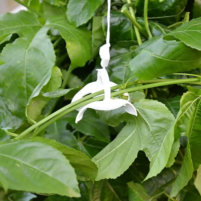 Palram – Canopia Pflanz- & Rankspule - Stahl - Detailaufnahme