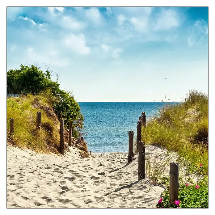 ProArt Leinwandbild Konventionel - Summer Breeze I, B x H: 40 x 40 cm - Vorderansicht