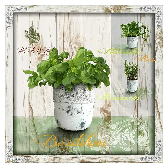 ProArt Leinwandbild Konventionel - Hierbas I, B x H: 50 x 50 cm - Vorderansicht