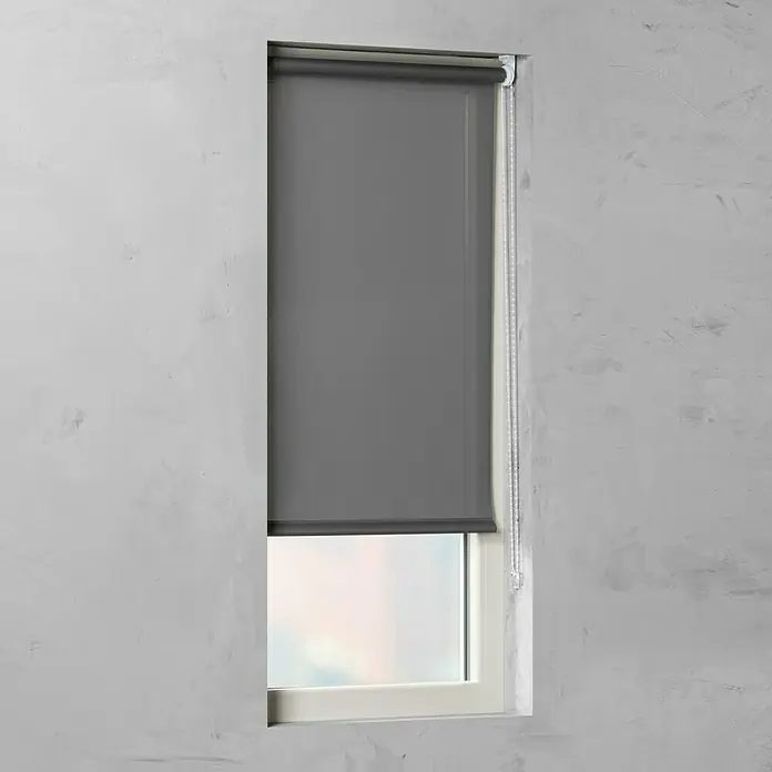 Rolo Basic - Š x V: 60 x 175 cm, Sive boje, Propusno za danje svjetlo - Pogled sprijeda