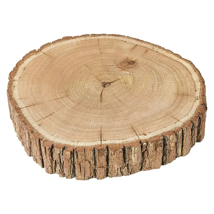 Exclusivholz Baumscheibe - Eiche, Unbehandelt, Durchmesser: 20 cm - 30 cm