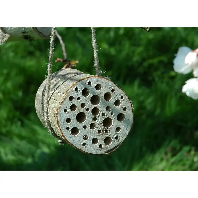 Dobar Insektenhotel Wildbienen-Zylinder II - Ø x L: 9 mm x 10 cm, Birke - Stimmungsaufnahme