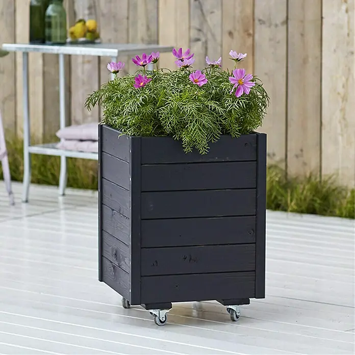 Plus Pflanzkasten - 48 x 48 x 66 cm, Mit Rollen - Stimmungsaufnahme