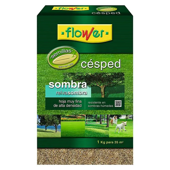 Flower Semillas de césped Sombra - 1 kg, 35 m²