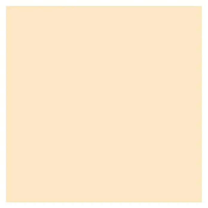 SCHÖNER WOHNEN-Farbe Wandfarbe Trendfarbe - Cashmere, 1 l, Matt, Konservierungsmittelfrei - Draufsicht
