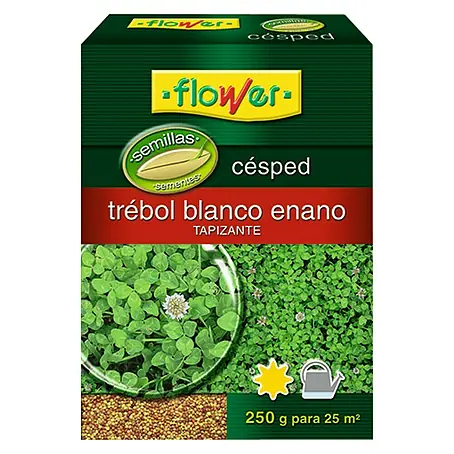 Flower  Semillas para césped Trébol Blanco Enano