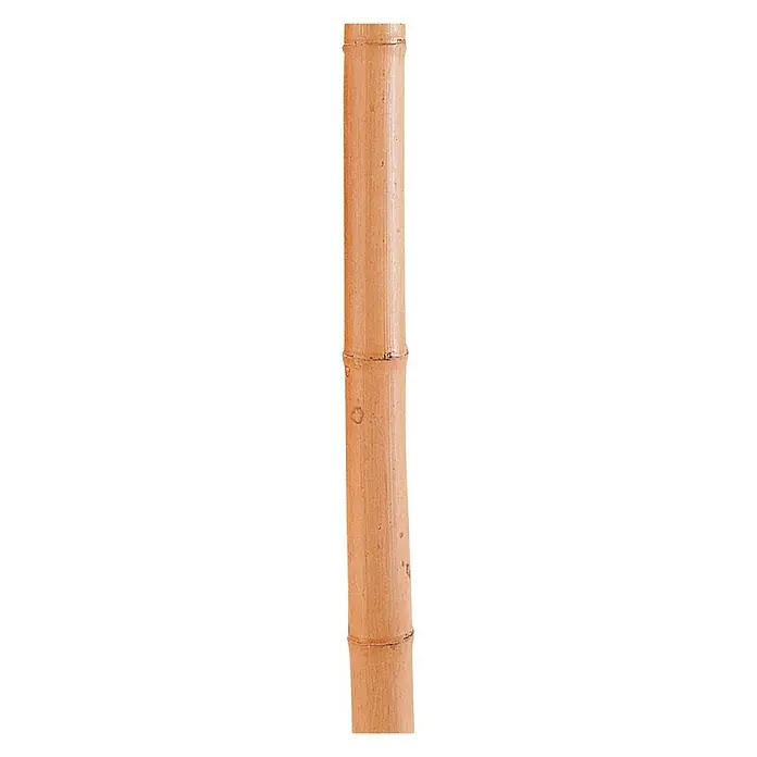Nortene Kokosov štap - Duljina: 60 cm