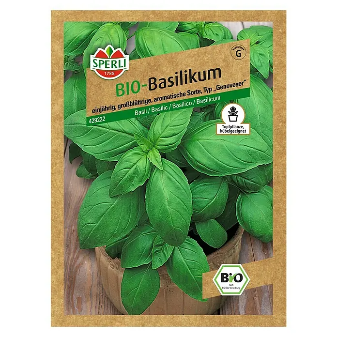 Sperli Kräutersamen Basilikum - Bio Basilikum, Ocimum basilicum, Saatzeit: Mai, Erntezeit: Ganzjährig - Vorderansicht