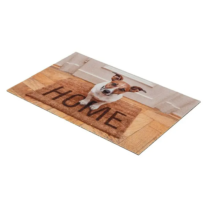 Astra Deco Sauberlaufmatte Print - Hund, Bunt, 40 x 60 cm, 100 % Polyamid - Rechte Seitenansicht
