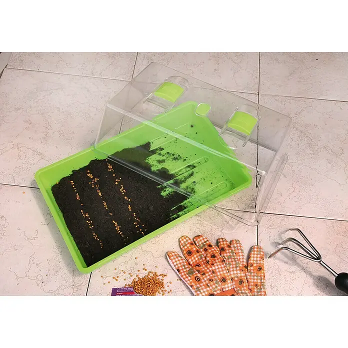 Floraworld Sobni staklenik Classic - 38 x 24 x 12,5 cm, Jabuka zelene boje - Proizvod u upotrebi