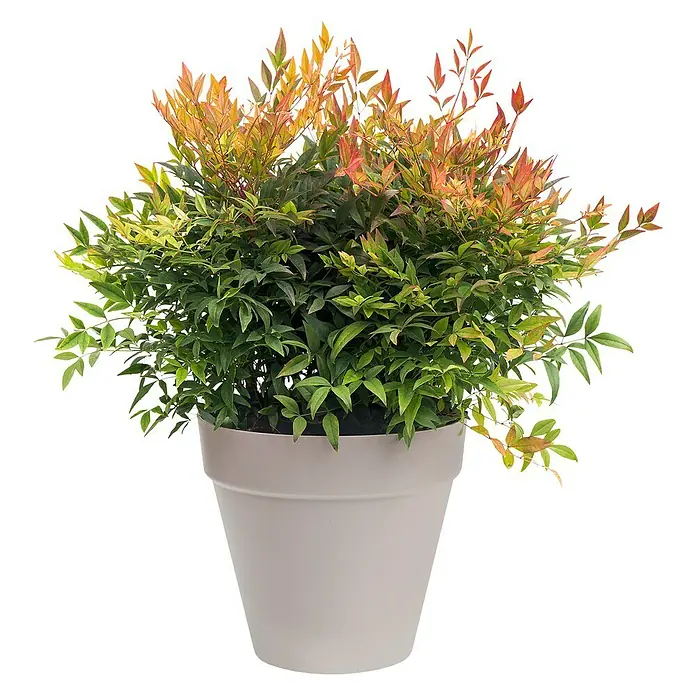 Elho Loft Urban Pflanztopf - Außenmaß (Ø x H): 29 x 26 cm, Kunststoff, Grau