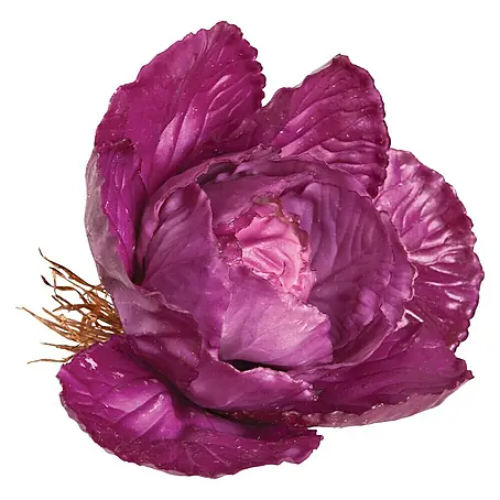 Figura decorativa Col morada