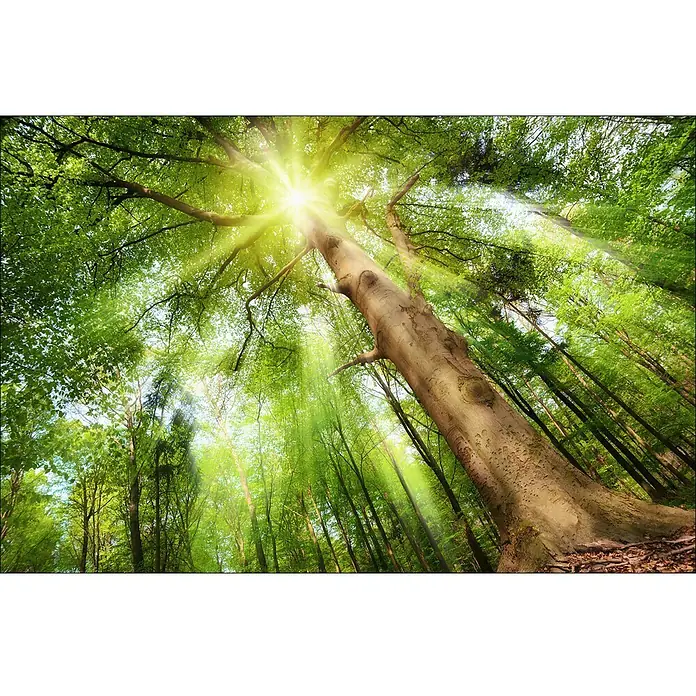 ProArt Young Living Ukrasna ploča - Š x V: 115 x 75 cm - Pogled sprijeda