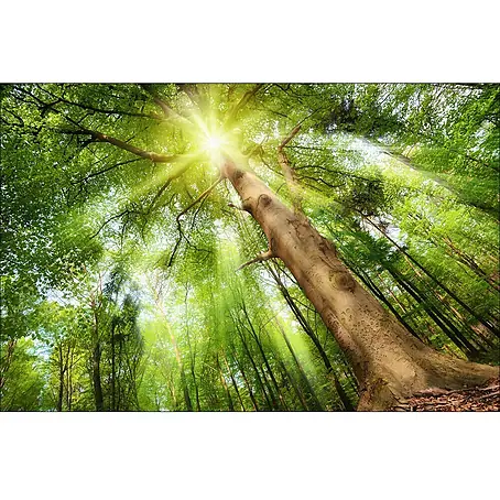 ProArt Young Living Ukrasna ploča