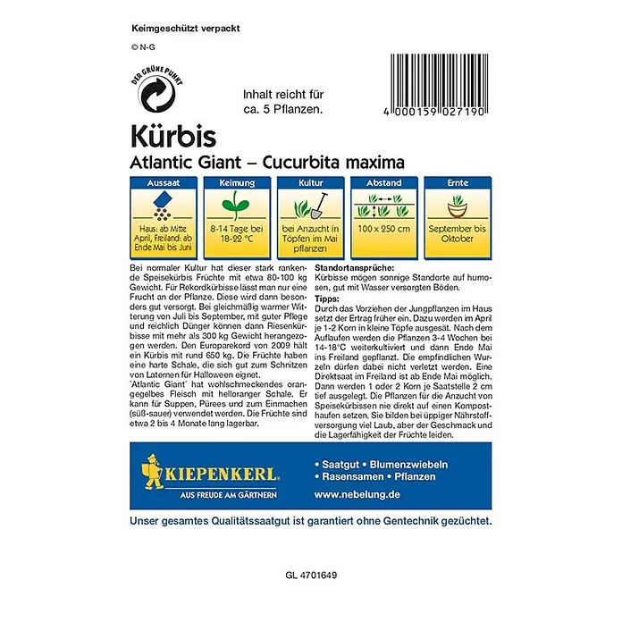 Kiepenkerl Profi-Line Gemüsesamen Kürbis Atlantic Giant - Cucurbita moscata, Erntezeit: August - Rückansicht