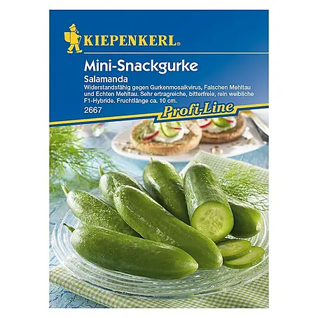 Kiepenkerl Profi-Line Gemüsesamen Salatgurke Salamanda