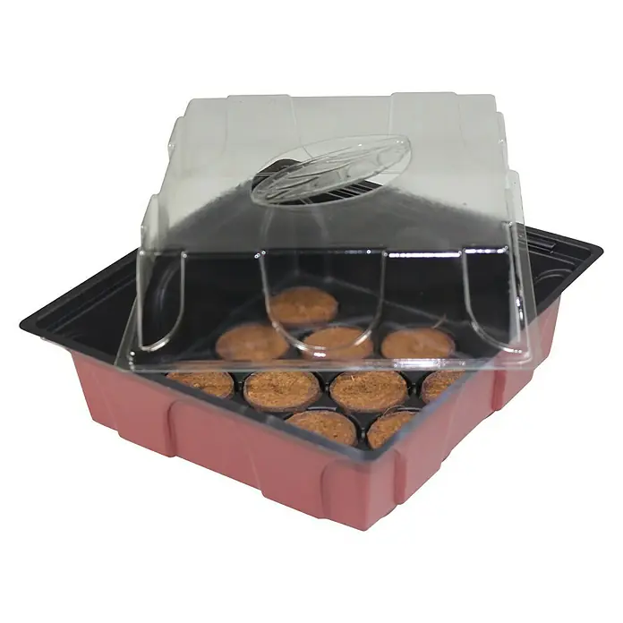 Windhager Zimmergewächshaus Midi - L x B x H: 19,5 x 19 x 11 cm, Mit 12 Quelltabletten
