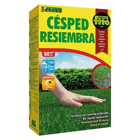 Semillas para césped resiembra