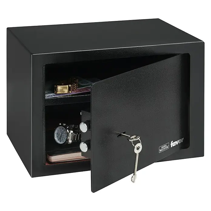 Burg-Wächter Favor Caja fuerte S5K - L x An x Al: 25 x 35 x 25 cm, Cerradura de seguridad con doble paletón