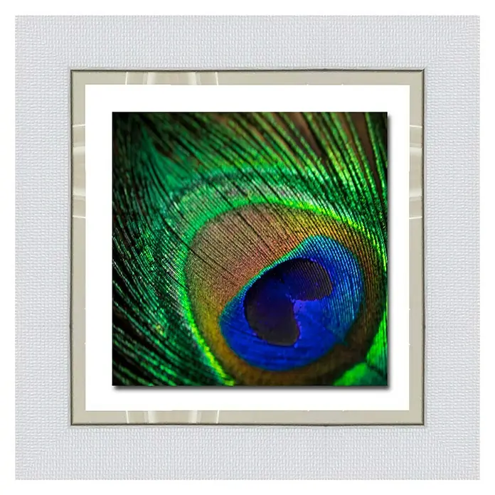 Cuadro - Plumas pavo, An x Al: 67 x 67 cm