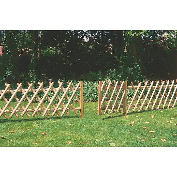 Forest-Style Celosía plegable Pony - Natural, An x Al: 250 x 100 cm