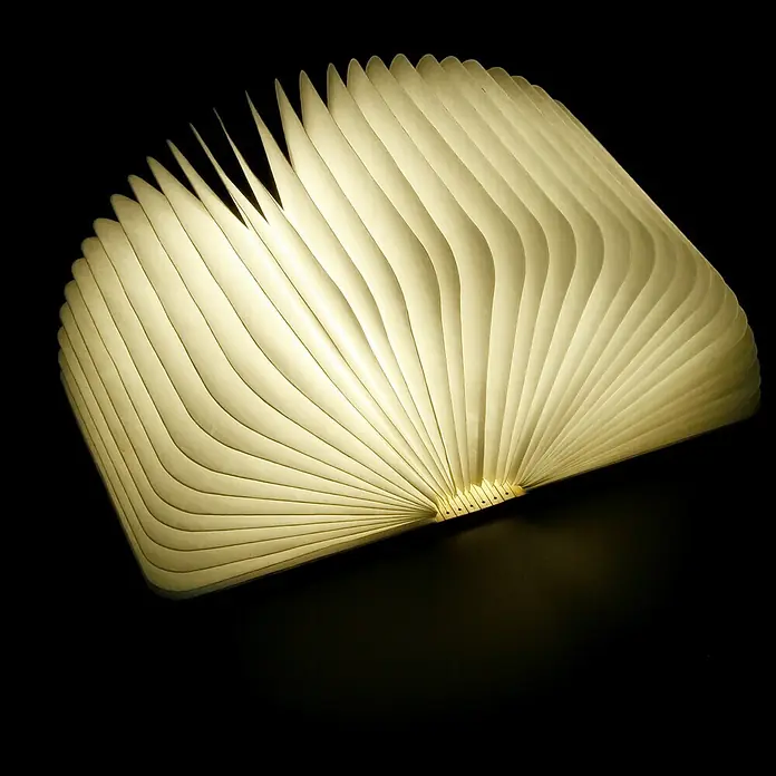 LED-Nachtlicht Book - Braun/Transparent, 2,5 x 9 x 12,3 cm, RGBW