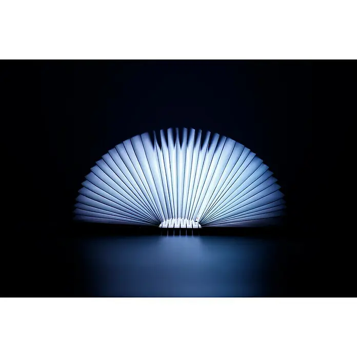LED-Nachtlicht Book - Braun/Transparent, 2,5 x 9 x 12,3 cm, RGBW