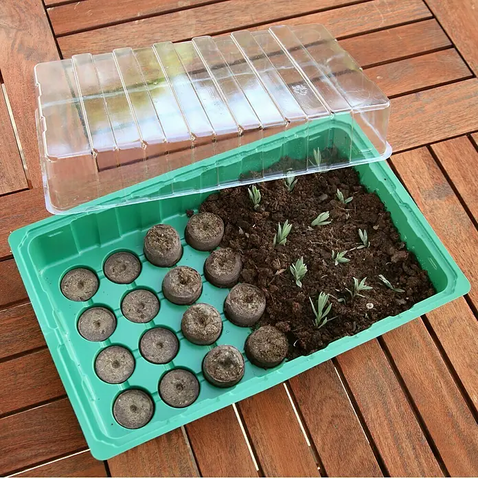 Floraworld Sobni staklenik - D x Š x V: 35,5 x 22 x 12,5 cm, Zelene boje, S 28 tresetnih posuda - Proizvod u upotrebi