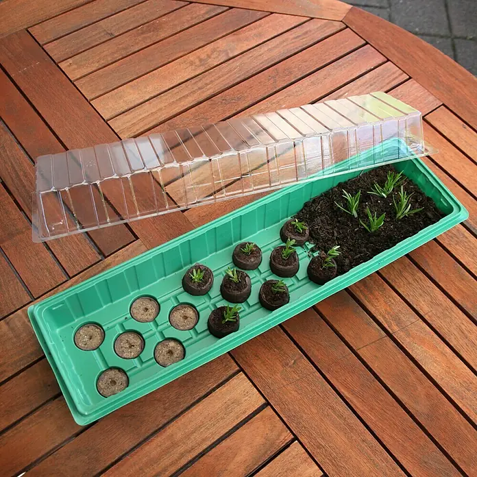Floraworld Sobni staklenik - D x Š x V: 54,5 x 15,5 x 12 cm, Zelene boje, S 20 tresetnih posuda - Proizvod u upotrebi