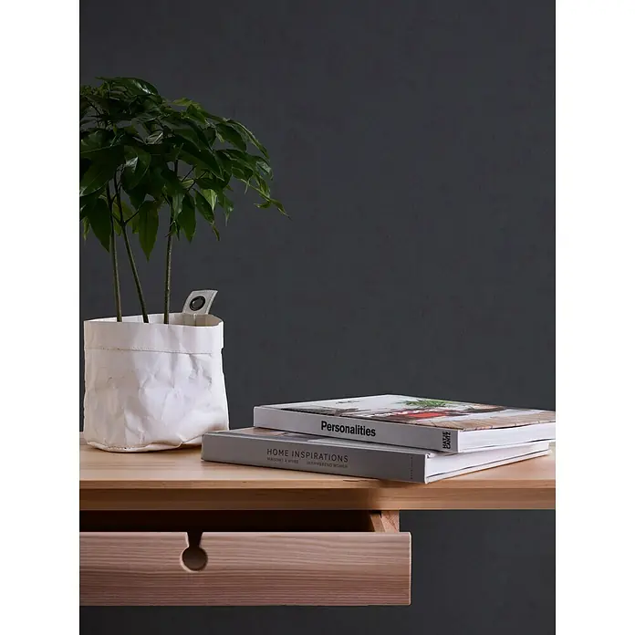 AS Creation Neue Bude 2.0 ED II Vliestapete II - Schwarz, Uni, 10,05 x 0,53 m - Stimmungsaufnahme