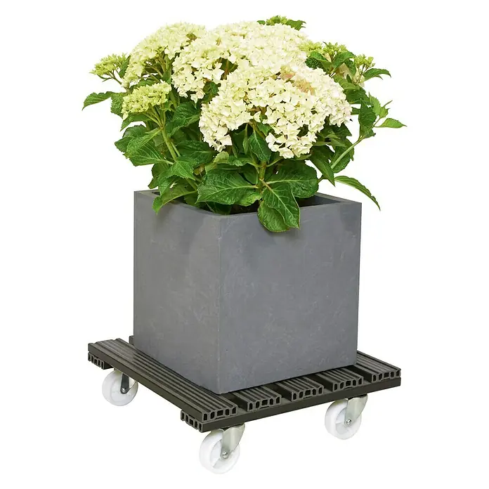 Gardol Pflanzenroller - 38,5 x 38,5 cm, Anthrazit, Max. Belastung: 100 kg