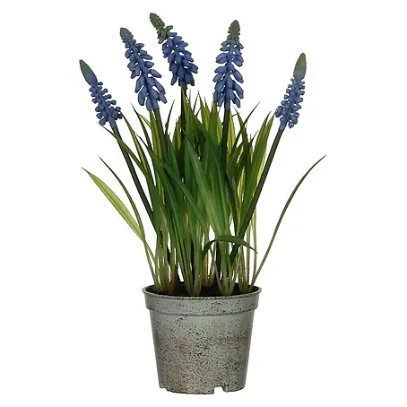 Planta artificial Jacinto Kira