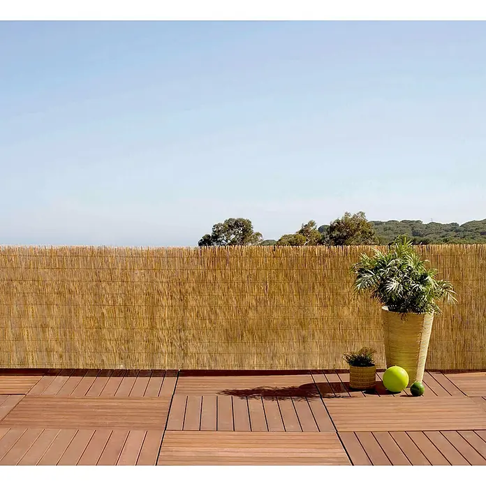 Ocultación de bambú Reedcane - L x Al: 5 x 1 m