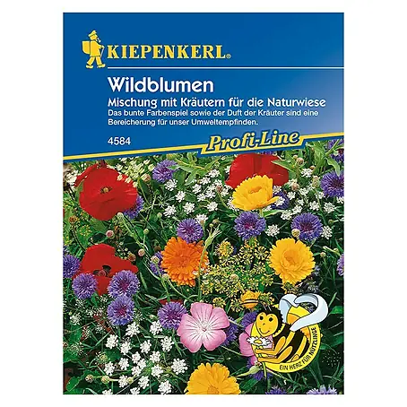 Kiepenkerl  Blumensamenmischung Wildblumen