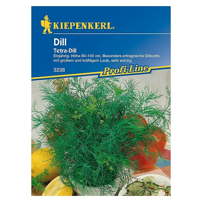 Kiepenkerl Profi-Line Kräutersamen Dill Tetra - Anethum graveolens var. hortorum, Saatzeit: April, Erntezeit: Ganzjährig - Vorderansicht