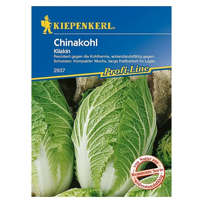 Kiepenkerl Profi-Line Gemüsesamen Chinakohl - Brassica rapa var. pekinensis, Erntezeit: Juni - Vorderansicht