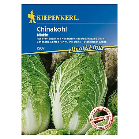 Kiepenkerl Profi-Line Gemüsesamen Chinakohl