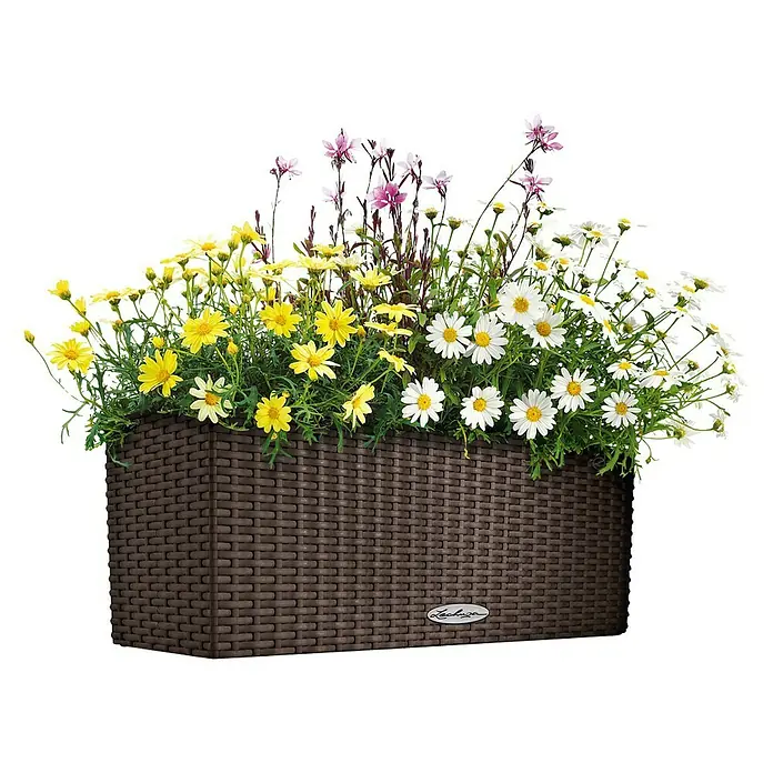 Lechuza Cottage Balkonkasten Balconera - Max. Außenlänge: 80 cm, Mokka - Vorderansicht