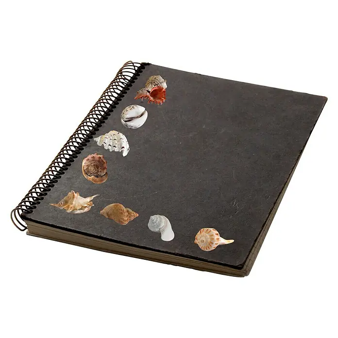 Dekosticker - Muscheln, 2 Bögen - Stimmungsaufnahme