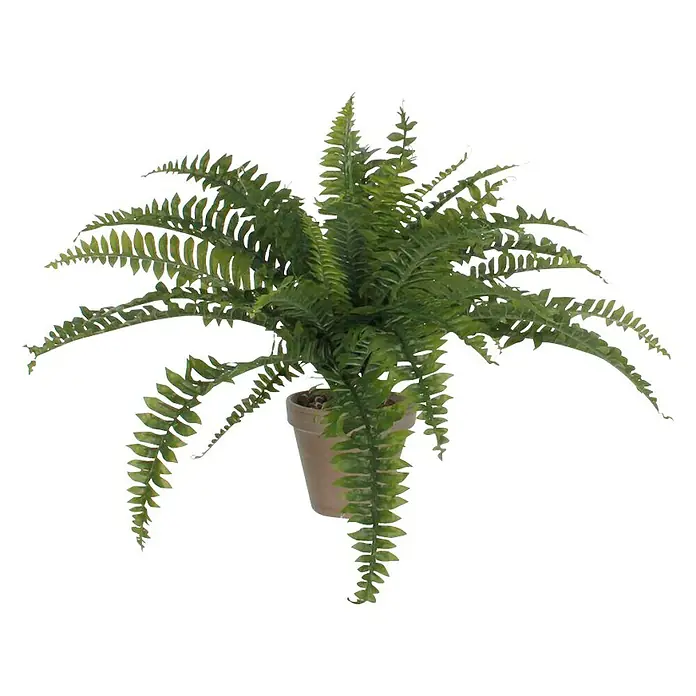 Planta artificial Helecho Boston - Altura: 45 cm, Verde, Plástico