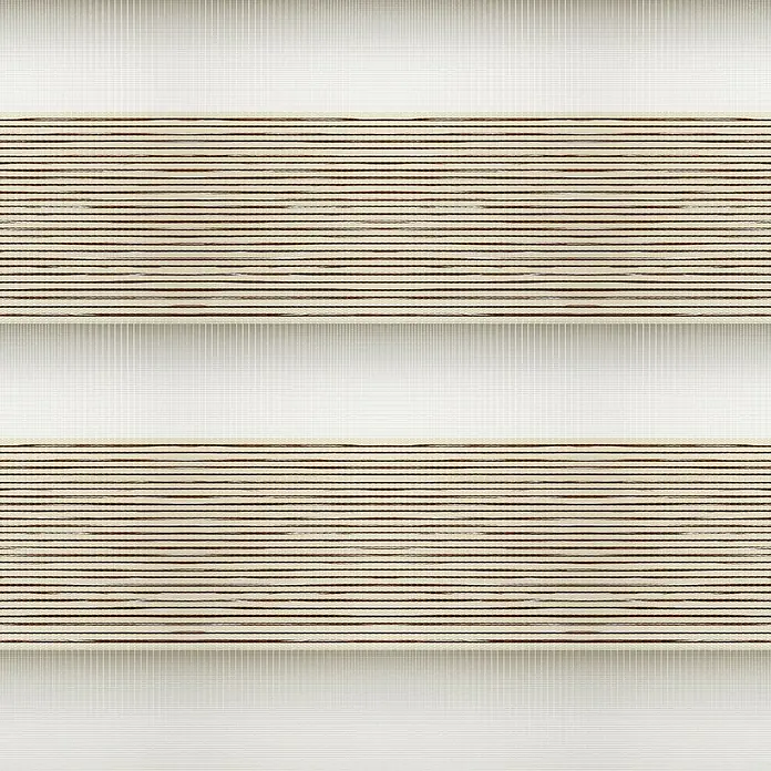 Estor noche y día Platinum - An x Al: 200 x 250 cm, Beige