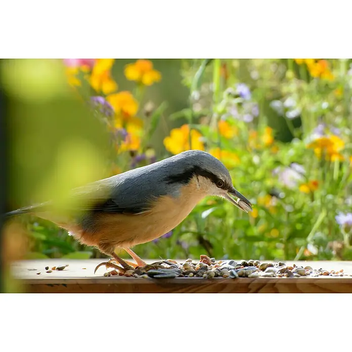 Dobar Wildvogelfutter - 20 kg - Stimmungsaufnahme