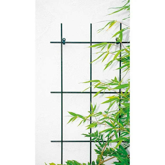 Bellissa Potporanj za cvijeće - 60 x 150 cm, Broj podupirača: 4 Kom., Promjer potpornja za biljke: 8 mm, Zelene boje - Živopisni prikaz