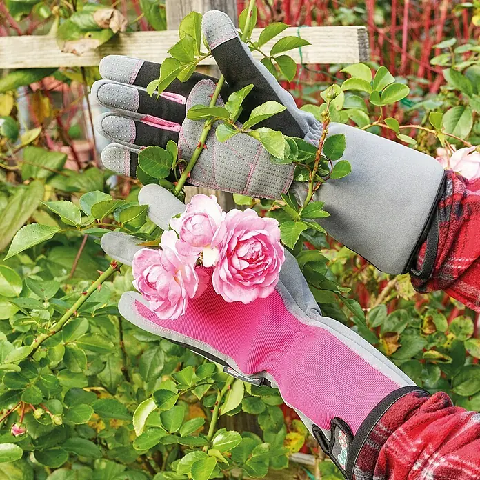 Gardol Stulpenhandschuh - Konfektionsgröße: 8, Pink