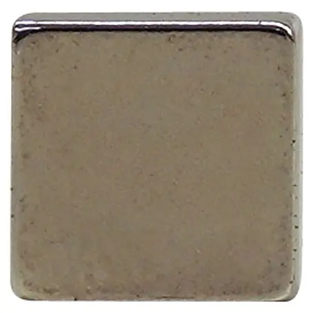 AS Creation  Magnet