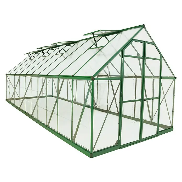 Palram – Canopia Gewächshaus Balance - 607 x 244 x 229 cm, Grün, Transparent