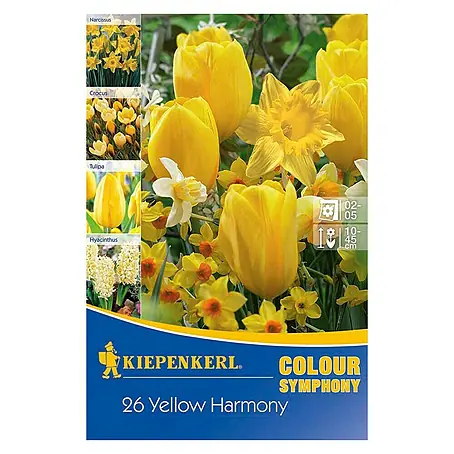 Kiepenkerl  Frühlingsblumenzwiebel-Mix