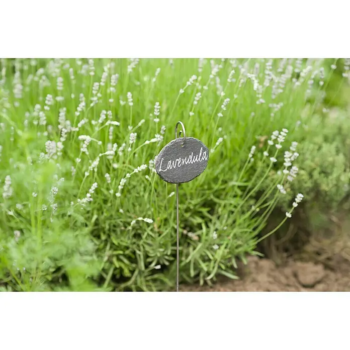 Nature Steeketiketten - 3 stk. - Sfeeropname
