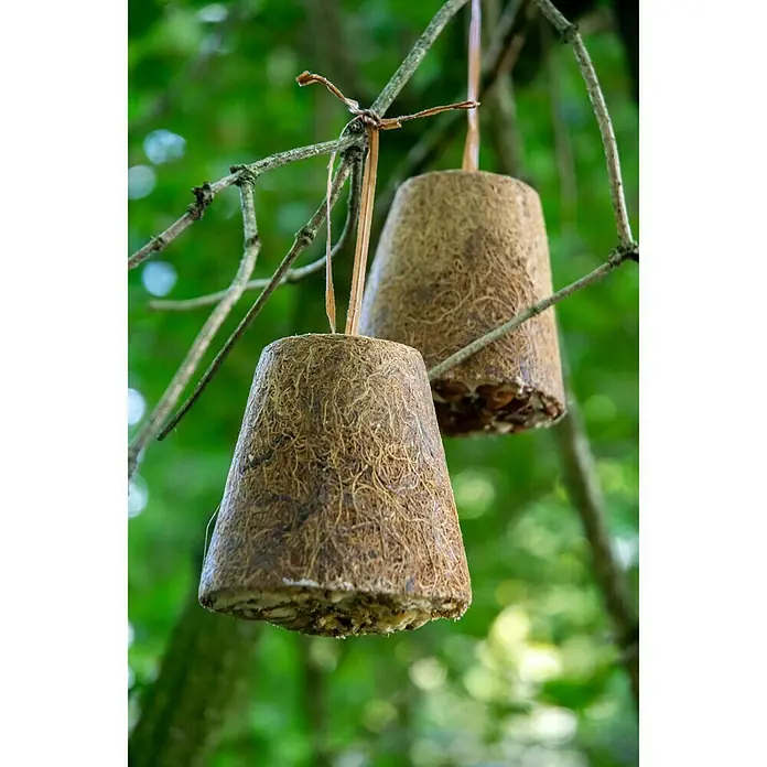 Dobar Wildvogelfutter Set - 8 Stk., Mit Insekten - Stimmungsaufnahme